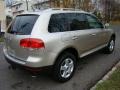 Wheat Beige Metallic - Touareg V6 Photo No. 7