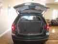 2004 Onyx Green Pearl Chrysler Pacifica AWD  photo #27
