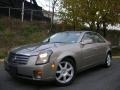 Cashmere - CTS Sedan Photo No. 1