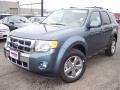 2011 Steel Blue Metallic Ford Escape Limited V6 4WD  photo #20