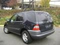 1999 Black Opal Metallic Mercedes-Benz ML 320 4Matic  photo #5