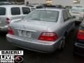 Satin Silver Metallic - RL 3.5 Photo No. 2