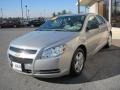 Silverstone Metallic - Malibu LS Sedan Photo No. 3