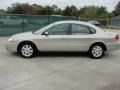 2005 Gold Ash Metallic Ford Taurus SEL  photo #6