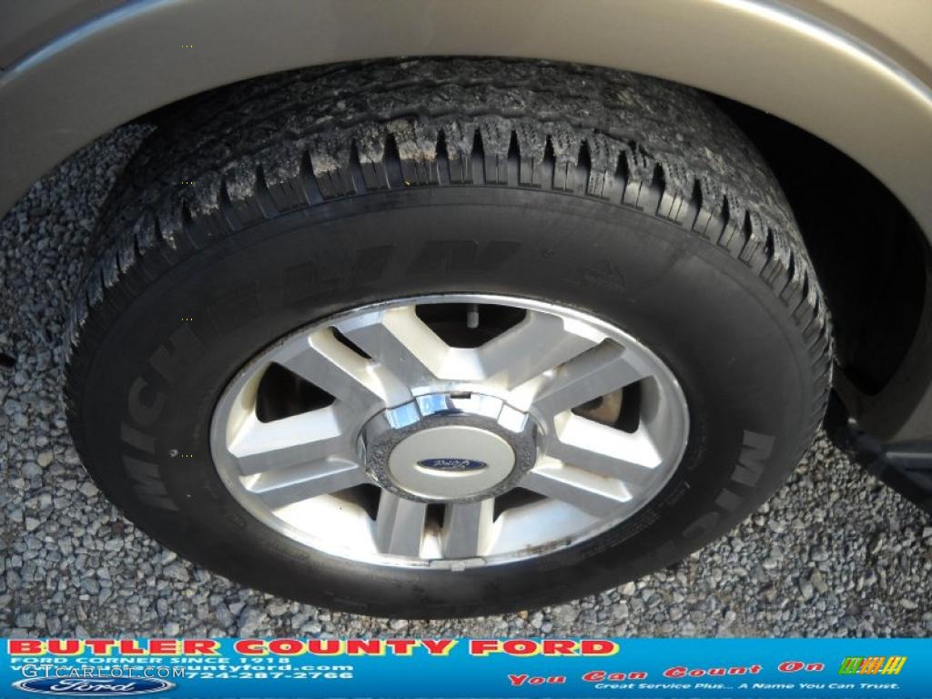 2004 F150 Lariat SuperCrew - Arizona Beige Metallic / Tan photo #16