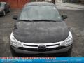Black - Focus SES Sedan Photo No. 19