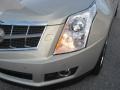 Gold Mist - SRX 4 V6 AWD Photo No. 48