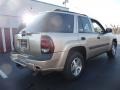 2005 Sandstone Metallic Chevrolet TrailBlazer LS 4x4  photo #3