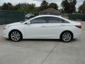 Pearl White - Sonata SE Photo No. 6