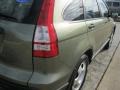 2009 Green Tea Metallic Honda CR-V LX 4WD  photo #10