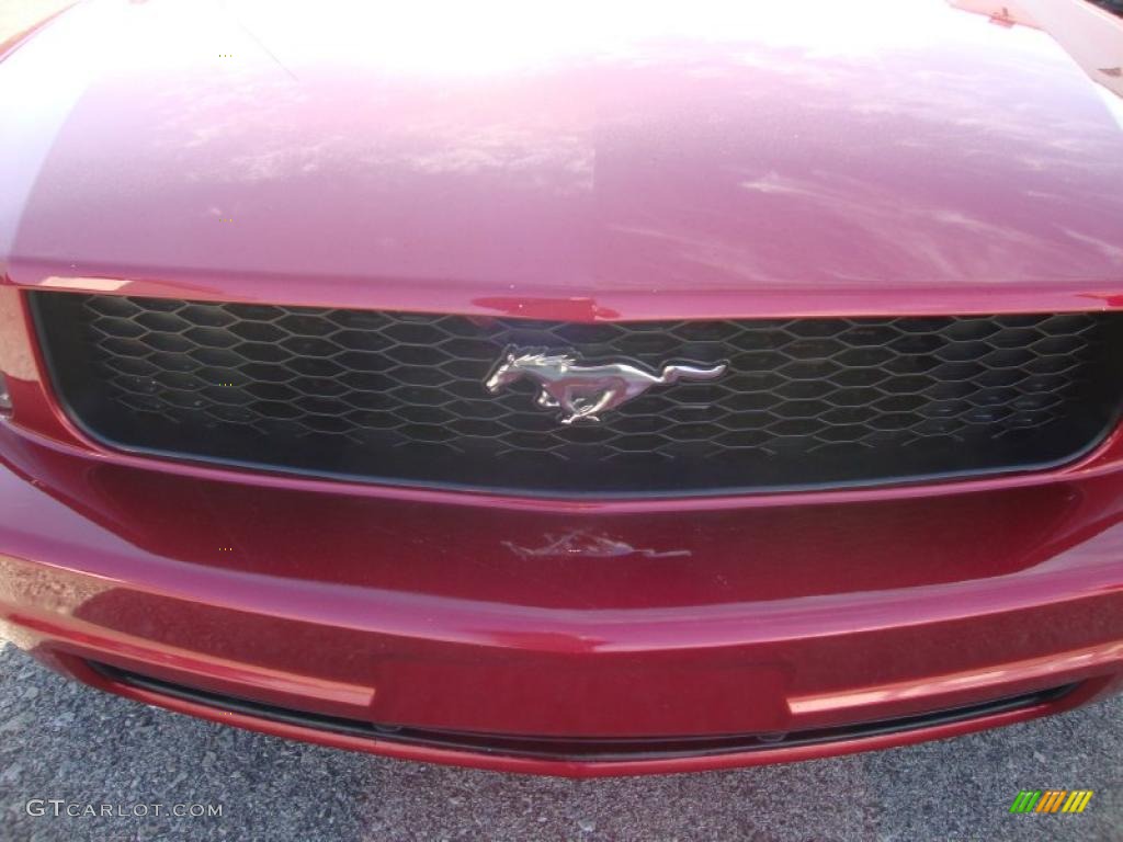 2007 Mustang V6 Deluxe Coupe - Torch Red / Dark Charcoal photo #32