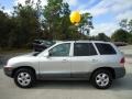 Smart Silver - Santa Fe GLS Photo No. 2