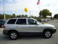Smart Silver - Santa Fe GLS Photo No. 13