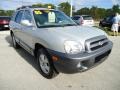 Smart Silver - Santa Fe GLS Photo No. 14