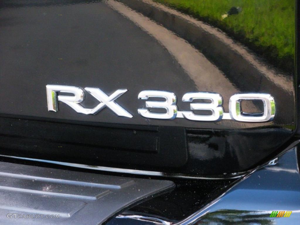 2006 RX 330 - Black Onyx / Ivory photo #9