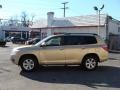 Sandy Beach Metallic - Highlander 4WD Photo No. 4