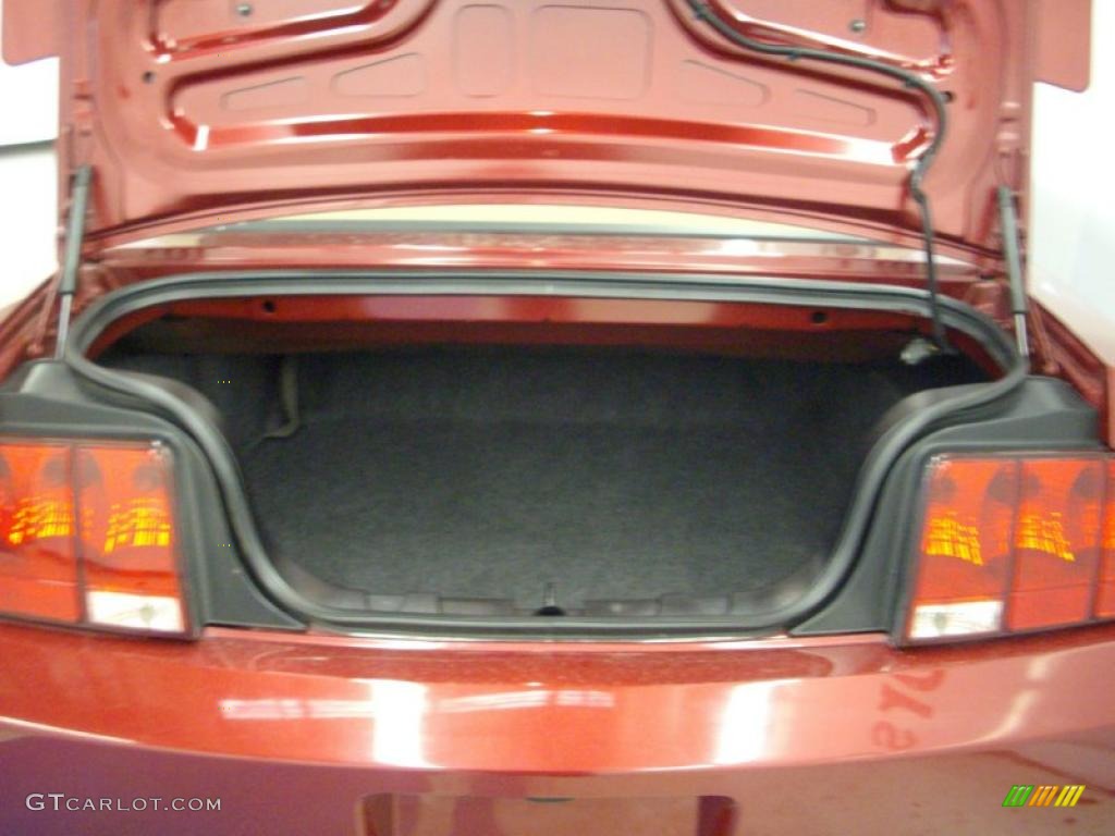 2007 Mustang V6 Deluxe Convertible - Redfire Metallic / Medium Parchment photo #7