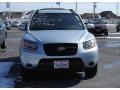 Silver Blue - Santa Fe GLS 4WD Photo No. 6