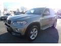 Platinum Bronze Metallic - X5 xDrive30i Photo No. 1