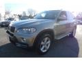 2009 Platinum Bronze Metallic BMW X5 xDrive30i  photo #1