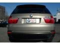 Platinum Bronze Metallic - X5 xDrive30i Photo No. 14