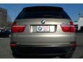 2009 Platinum Bronze Metallic BMW X5 xDrive30i  photo #14