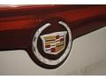 Light Platinum - CTS Sedan Photo No. 45