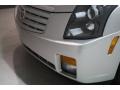 Light Platinum - CTS Sedan Photo No. 55