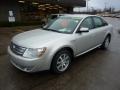Silver Birch Metallic 2008 Ford Taurus SEL AWD Exterior
