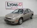 2001 Cinnamon Glaze Metallic Dodge Neon SE  photo #6