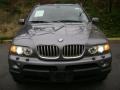2005 Sterling Grey Metallic BMW X5 4.4i  photo #5