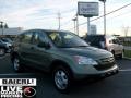 2008 Green Tea Metallic Honda CR-V LX 4WD  photo #1