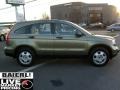 2008 Green Tea Metallic Honda CR-V LX 4WD  photo #8