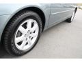 Silver Spruce Metallic - Avalon XL Photo No. 34
