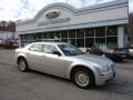 Bright Silver Metallic - 300 Touring Photo No. 1
