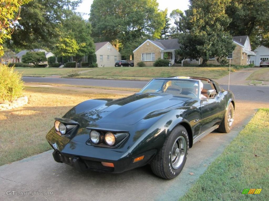 Black 1975 Chevrolet Corvette Stingray Coupe Exterior Photo #40772215