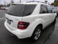 Arctic White - ML 350 4Matic Photo No. 14
