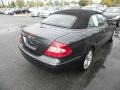 Black - CLK 350 Cabriolet Photo No. 11