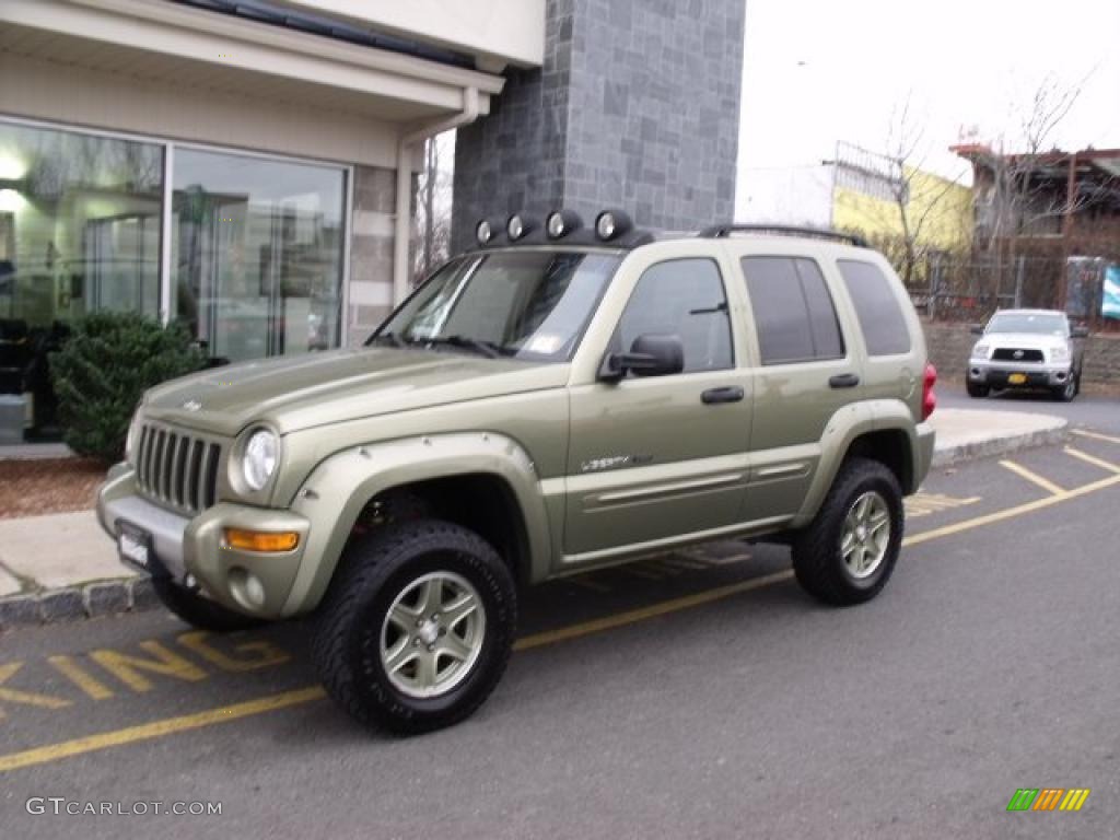 2002 Liberty Renegade 4x4 - Cactus Green Metallic / Taupe photo #2
