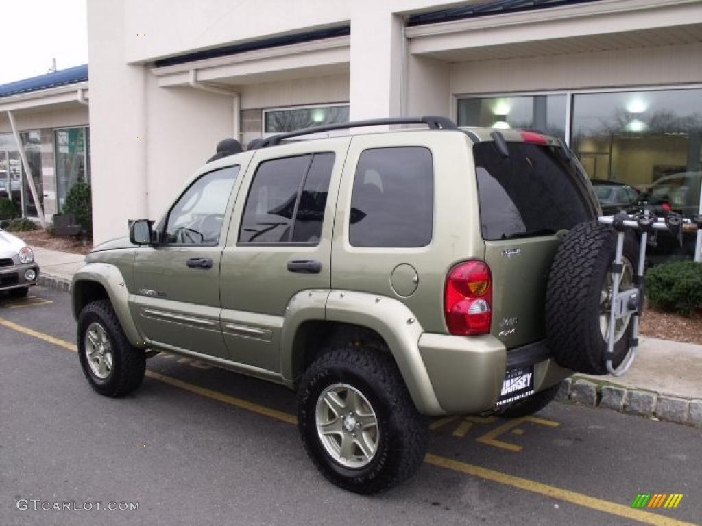 Cactus Green Metallic 2002 Jeep Liberty Renegade 4x4 Exterior Photo #40780299