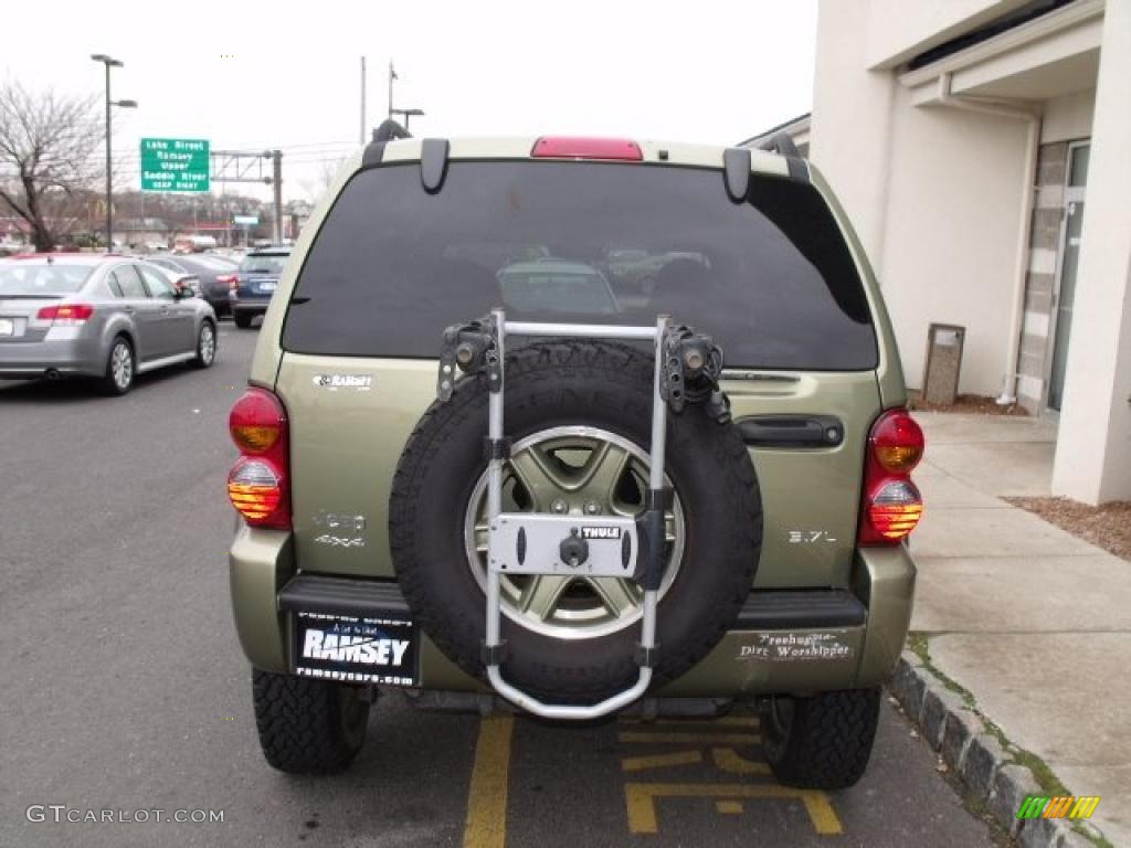 2002 Liberty Renegade 4x4 - Cactus Green Metallic / Taupe photo #4
