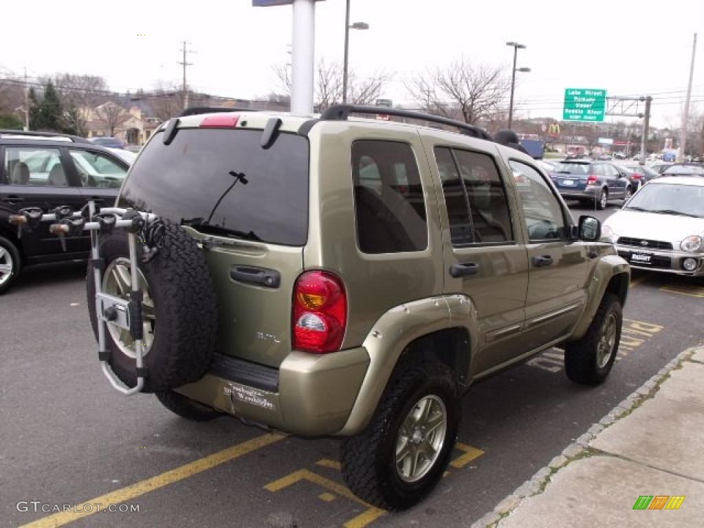 2002 Liberty Renegade 4x4 - Cactus Green Metallic / Taupe photo #5