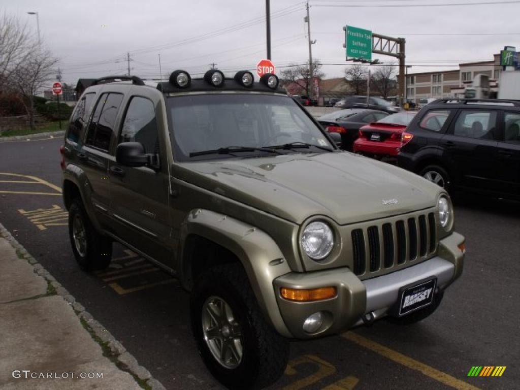 2002 Liberty Renegade 4x4 - Cactus Green Metallic / Taupe photo #6