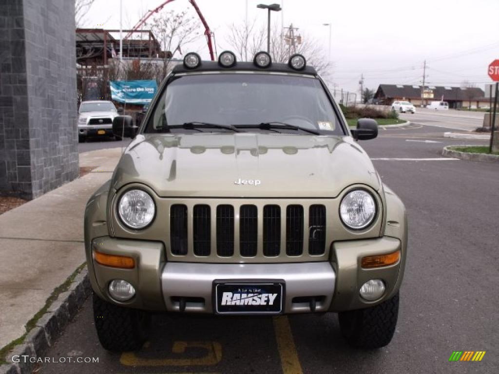 2002 Liberty Renegade 4x4 - Cactus Green Metallic / Taupe photo #7