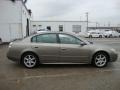 Polished Pewter Metallic - Altima 3.5 SE Photo No. 7