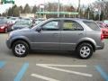 Alpine Gray - Sorento LX 4x4 Photo No. 6