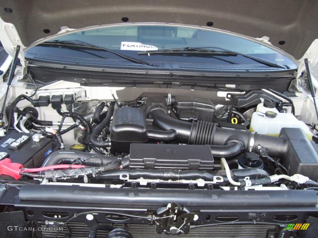 2010 Ford F150 Platinum SuperCrew 4x4 5.4 Liter Flex-Fuel SOHC 24-Valve VVT Triton V8 Engine Photo #40786619