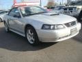 2001 Silver Metallic Ford Mustang GT Convertible  photo #7