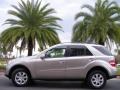 Pewter Metallic - ML 350 4Matic Photo No. 1