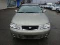 Radium Silver - Sentra SE Photo No. 6